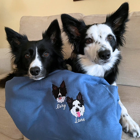Border Collie Sweatshirt or Hoodie, Custom Embroidered Gift from Photo Name
