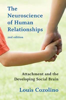 The Neuroscience Of Human Relationships Attachment And The Developing Social Brain 2Nd Edition