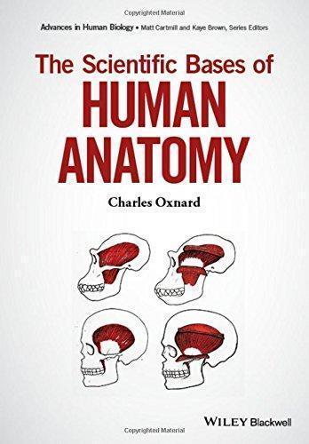 The Scientific Bases Of Human Anatomy