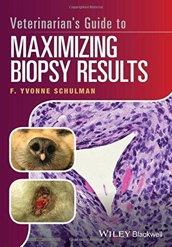 Veterinarians Guide To Maximizing Biopsy Results