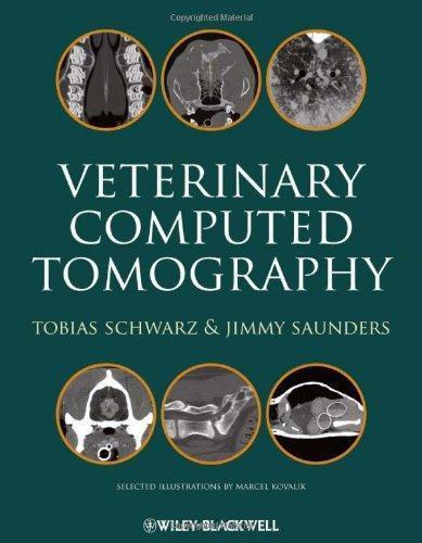 Veterinary Computed Tomography